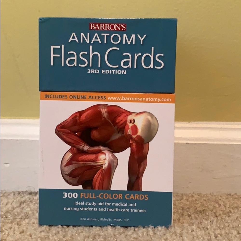 Anatomy flash cards